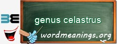 WordMeaning blackboard for genus celastrus